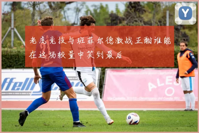 老虎竞技与班菲尔德激战正酣谁能在这场较量中笑到最后